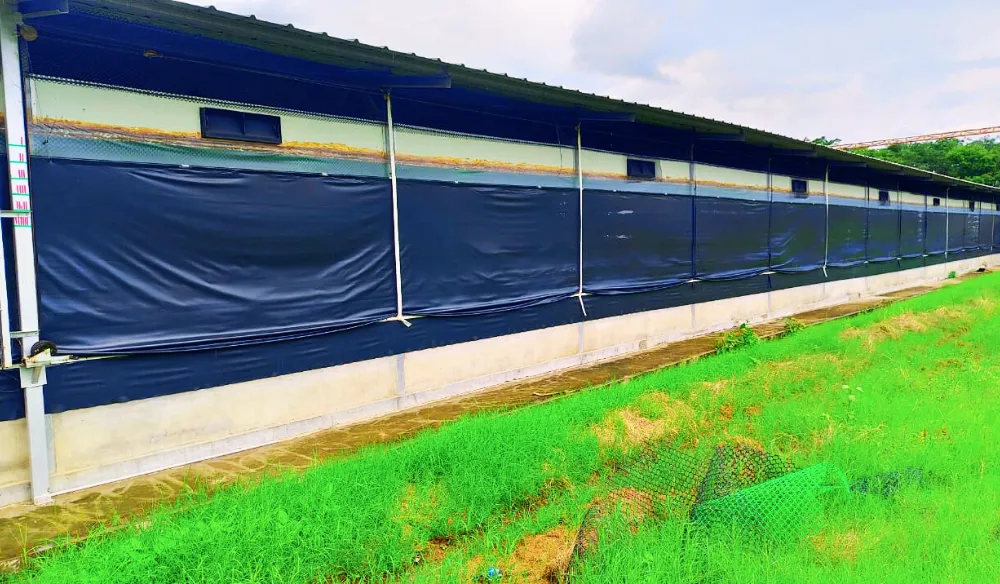 Sagar-poly-Feb-The Best Tarpaulin Poultry Curtains