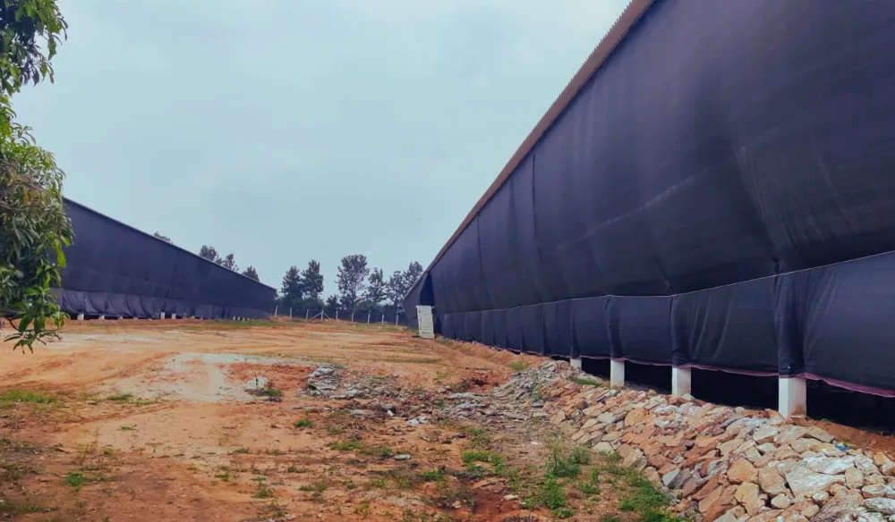 The Best Tarpaulin Poultry Curtains